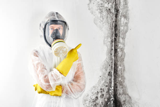 Best Biohazard Mold Removal  in USA